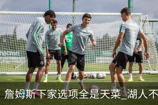 詹姆斯下家选项全是天菜 湖人不给的体面这些队能给